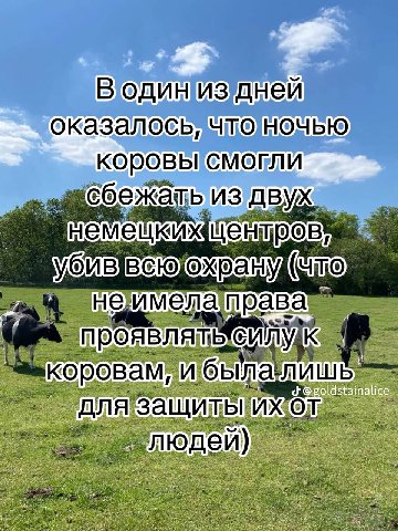 Водиниздней оказалось, СМОГЛИ жать из неимела к. вам, юдей)