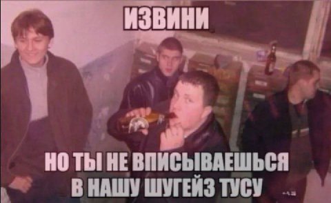 ИЗВИНИ НОТЫ! HE ВПИСЫВАЕШЬСЯ В НАШУ ШУГЕЙЗ ТУСУ
