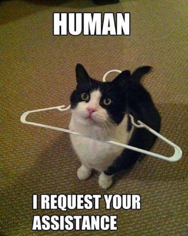 HUMAN YOUR ASSISTANCE