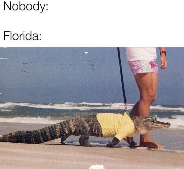 Nobody: Florida: $3