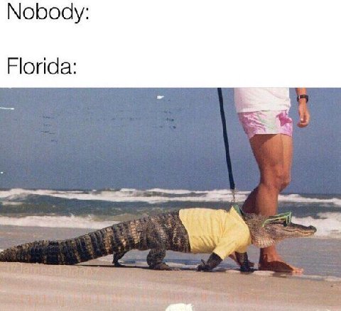 Nobody: Florida: $3