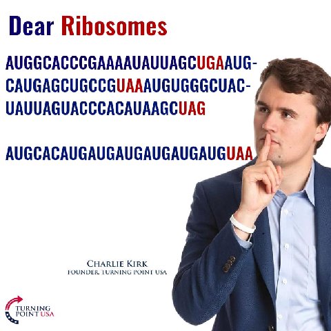 Dear Ribosomes AUGGCACCCGAAAAUAUUAGCUGAAUG CAUGAGCUGCCGUAAAUGUGGGCUAC UAUUAGUACCCACAUAAGCUAG у AUGCACAUGAUGAUGAUGAUGAUGUA CHARLIE KIRK USA