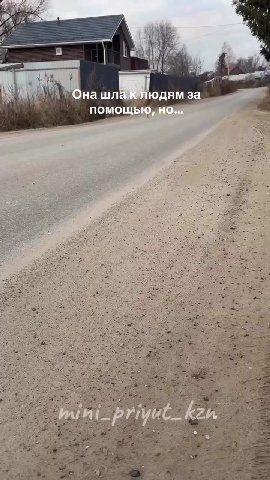 Но ей некому помочь💔

Несколько дней назад в большой приютской семье случилось пополнение🥺 
У неё что-то с ротовой полостью - все жутко воспалено, слюни с гноем текут ручьем, рот постоянно открыт и яз