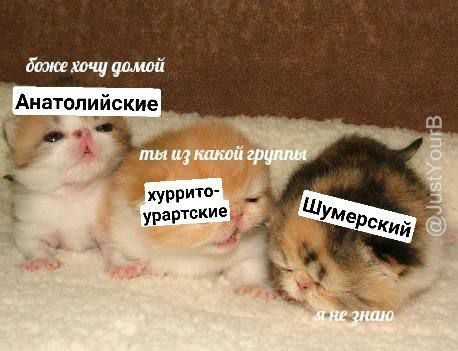 боже хочу домой Анатолийские ты из какой группы 5 хуррито- 2