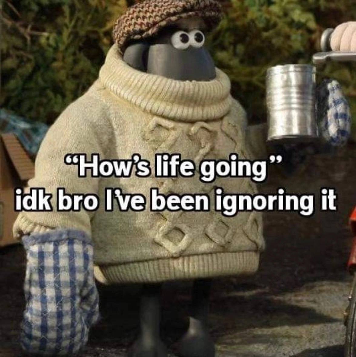 “How’s life going” idk bro been ignoring it