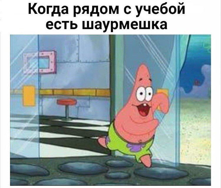 Когда рядом с учебой есть шаурмешка parr 6