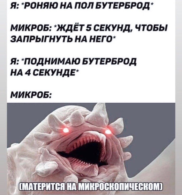 Я: НА ПОЛ БУТЕРБРОД* 5 СЕКУНД, ЧТОБЫ ЗАПРЫГНУТЬ НА НЕГО* Я: БУТЕРБРОД НА 4 СЕКУНДЕ* МИКРОБ: (МАТЕРИТСЯ МИКРОСКОПИЧЕСКОМ)