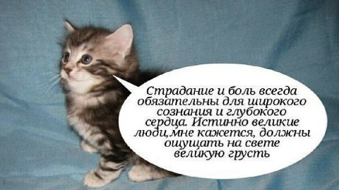 Напоминание