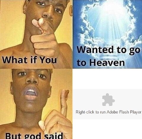 anted to You leave 7 Right-click to run Adobe Flash Player cong