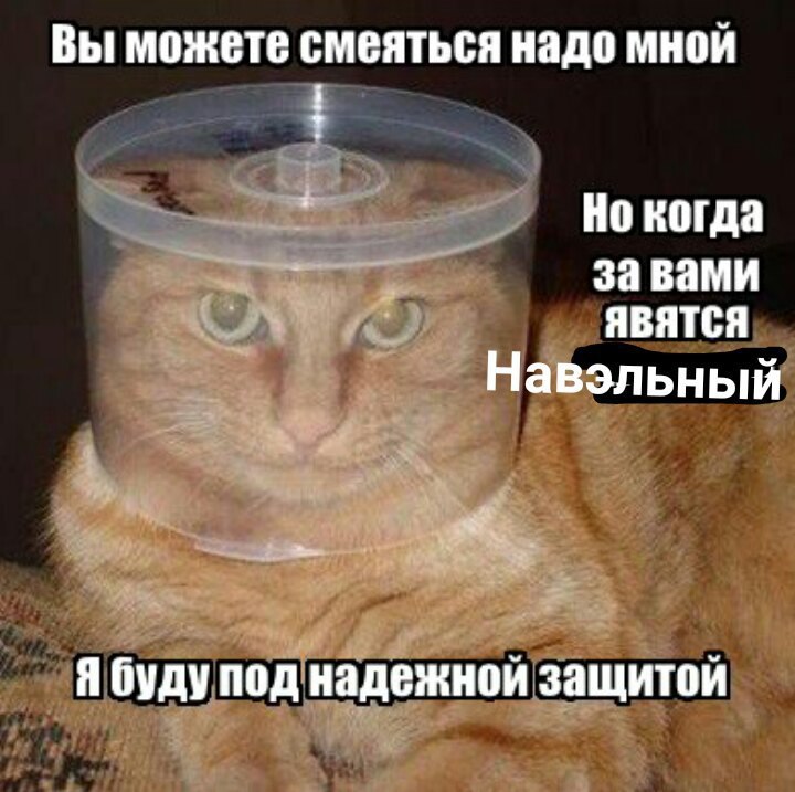 Вы можете смеяться надо мной Но когда за вами ЯВЯТСЯ Навэльный Я буду под надежной защитой