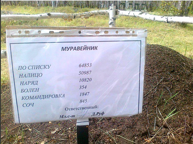 4 bias МУРАВЕЙНИК ПОСПИСКУ 64853 НАЛИЦО 50987 НАРЯД 10820 BOJIEH 354 КОМАНДИРОВКА 1847 СОЧ 845 Ответственный: 5