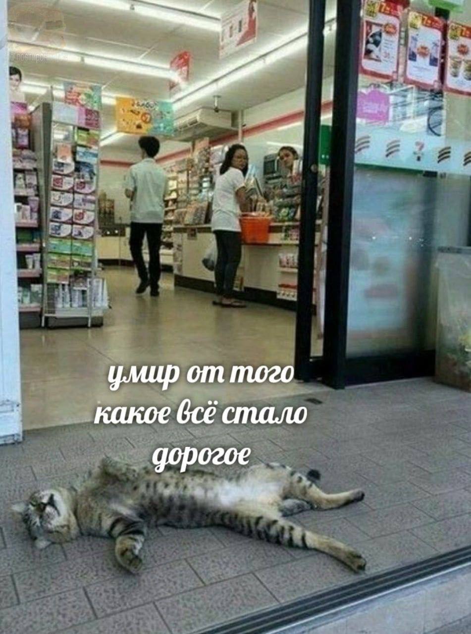умир от того какое стало дорогое