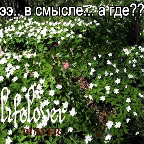 „В