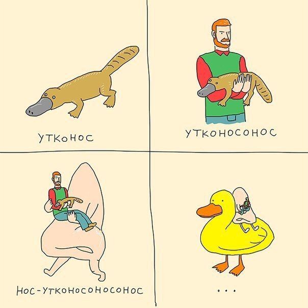 Aro и Утконос
