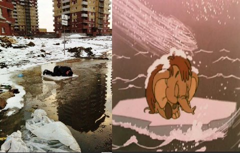 О у у В 4 у у В i 4