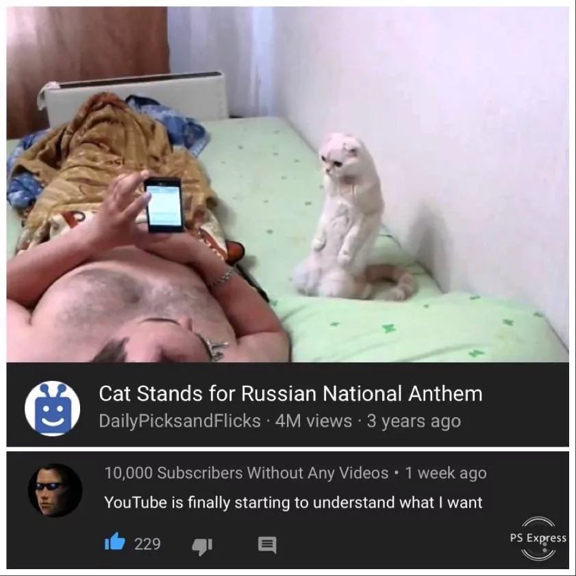 у Cat Stands for Russian National Anthem DailyPicksandFlicks views 3 years ago 10,000 Subscribers Without Any Videos 1 week ago YouTube is finally starting to understand what want Express 229