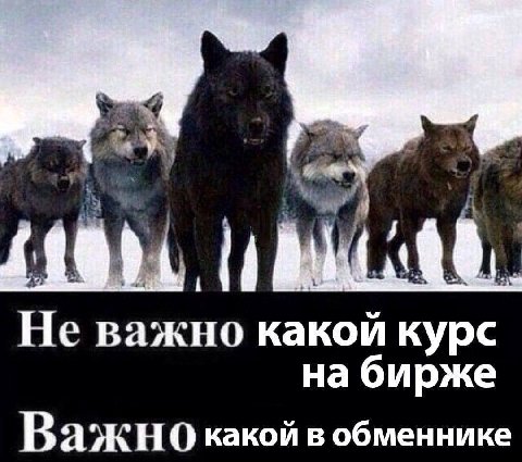 A Не важно какой курс Важно какой в обменнике