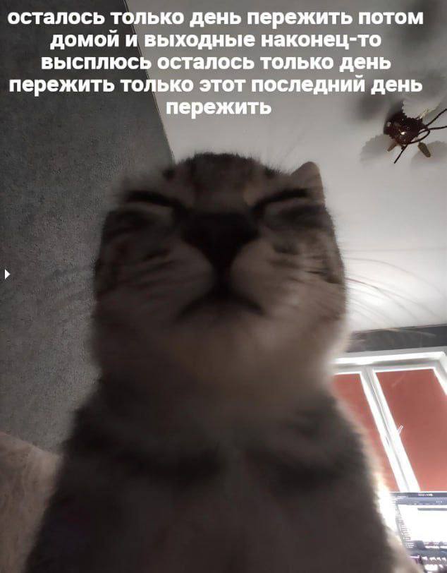 осталось только день пережить потом домой и выходные наконец-то высплюсь осталось только день пережить только этот последнии день пережить