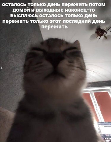 осталось только день пережить потом домой и выходные наконец-то высплюсь осталось только день пережить только этот последнии день пережить