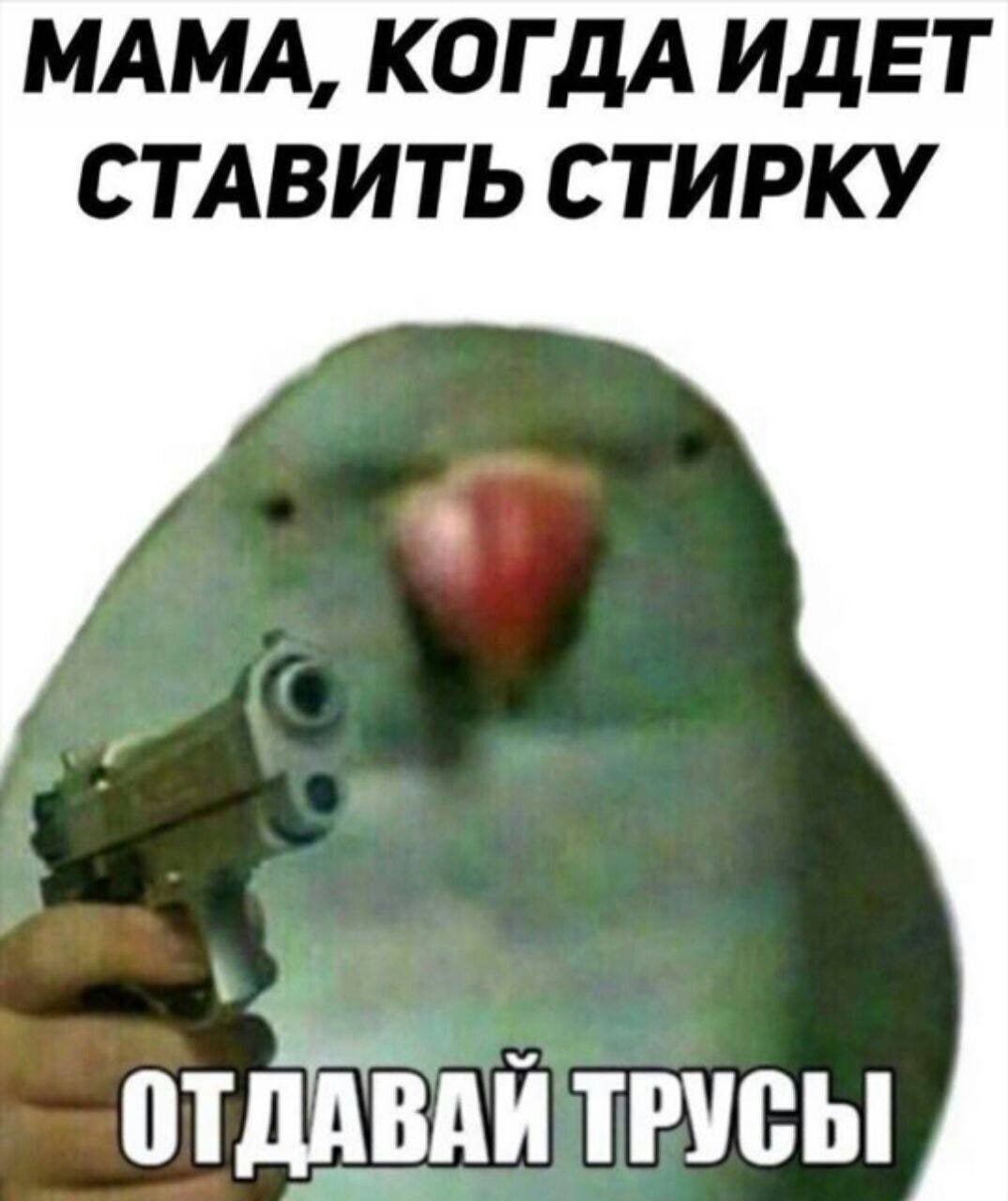 МАМА, КОГДА ИДЕТ СТАВИТЬ СТИРКУ ТРУСЫ