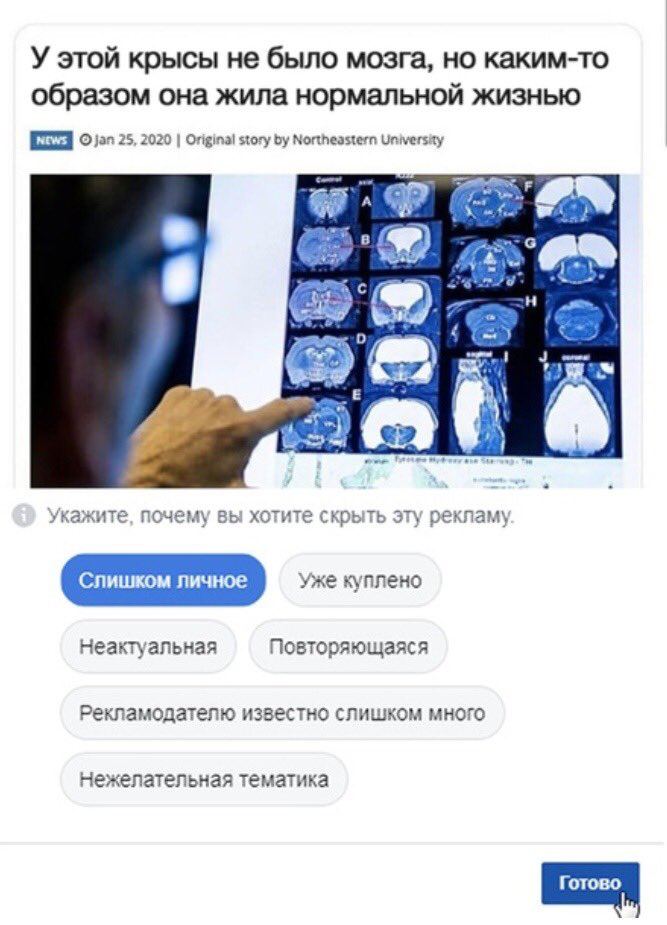У этой крысы не было мозга, но каким-то образом она жила нормальной жизнью jan 25, 2020 Original story Northeastern University oF с Укажите, почему вы хотите скрыть эту рекламу Слишком личное Уже купл