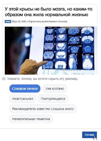 У этой крысы не было мозга, но каким-то образом она жила нормальной жизнью jan 25, 2020 Original story Northeastern University oF с Укажите, почему вы хотите скрыть эту рекламу Слишком личное Уже купл