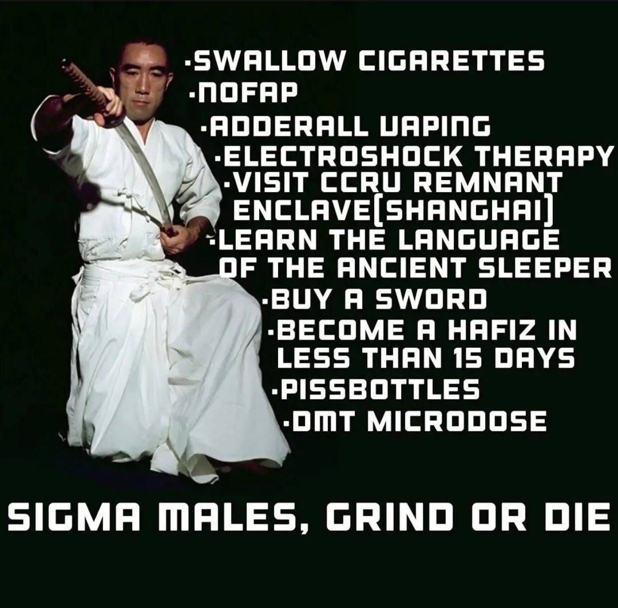 «SWALLOW CIGARETTES -NOFAP UAPING ТНЕРЯРУ CCRU REMNANT LEARN THE LANGUAGE THE ANCIENT SLEEPER BUY Я SWORD -BECOME Я HAFIZ IN LESS THAN 15 DAYS -PISSBOTTLES MICRODOSE SIGMA MALES, GRIND OR DIE