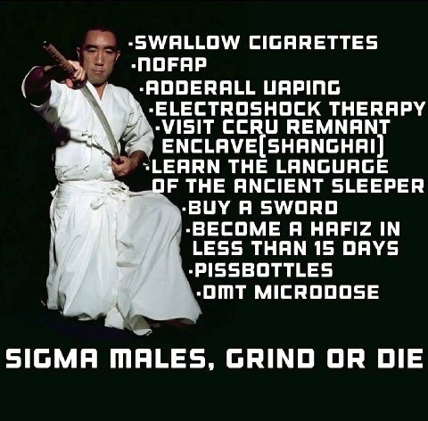 «SWALLOW CIGARETTES -NOFAP UAPING ТНЕРЯРУ CCRU REMNANT LEARN THE LANGUAGE THE ANCIENT SLEEPER BUY Я SWORD -BECOME Я HAFIZ IN LESS THAN 15 DAYS -PISSBOTTLES MICRODOSE SIGMA MALES, GRIND OR DIE