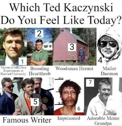 Which Ted You Feel Like В roodin Woodsman Hermit Mailer He irtthrob Daemon 16 Famous Writer Imprisoned Adorable Meme Grandpa