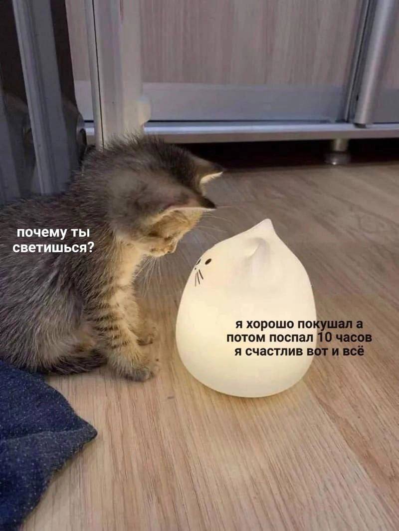 1 a почему ты светишься? A я я хорошо покушала потом поспал 10 часов я счастлив воти всё