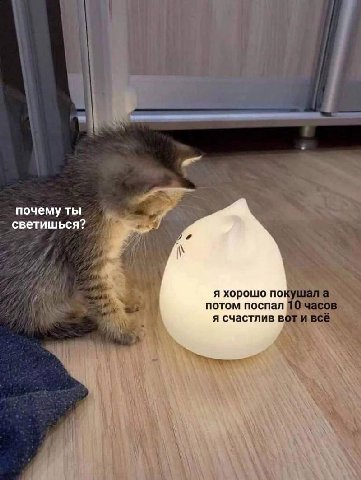 1 a почему ты светишься? A я я хорошо покушала потом поспал 10 часов я счастлив воти всё