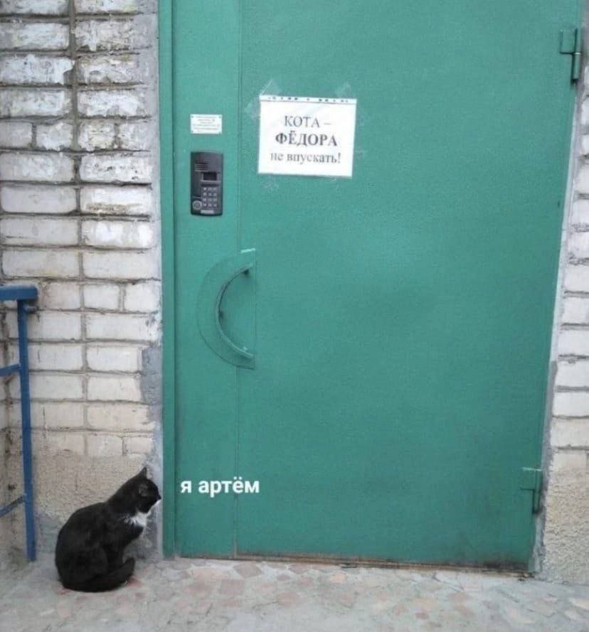 я артём