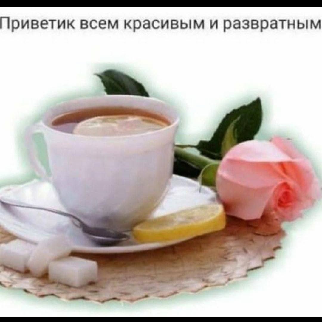 Приветик всем красивым и развратным