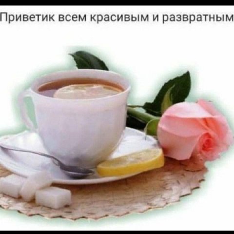 Приветик всем красивым и развратным