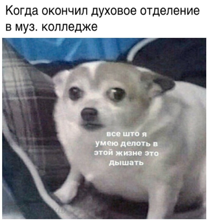 Когда окончил духовое отделение в муз. колледже все што я умею делоть в этой жизне это дышать
