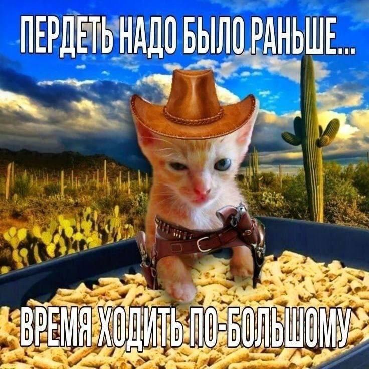 ПЕРДЕТЬ
