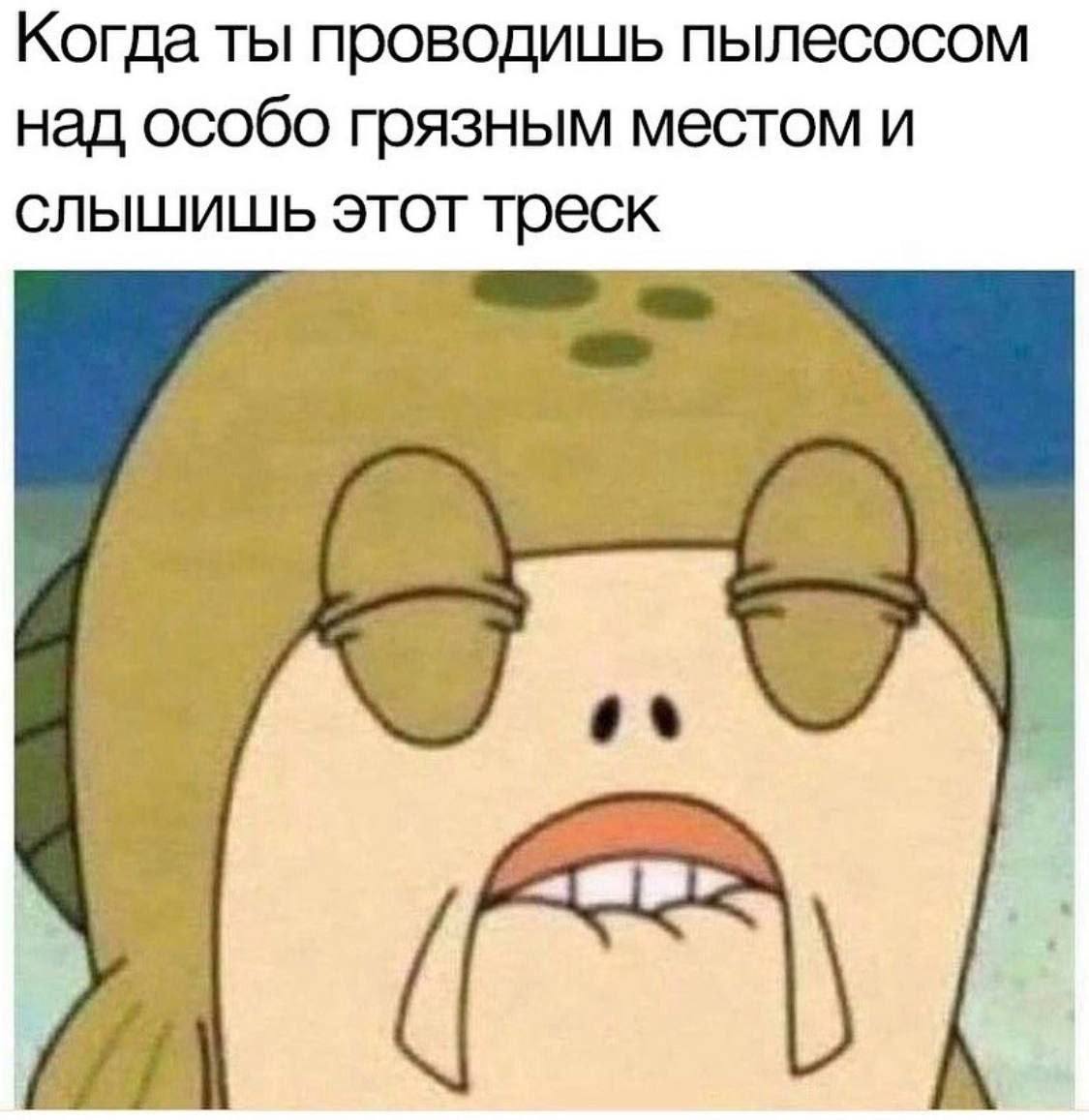 Когда ты проводишь пылесосом над особо грязным местом и слышишь этот треск