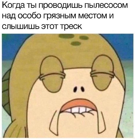 Когда ты проводишь пылесосом над особо грязным местом и слышишь этот треск
