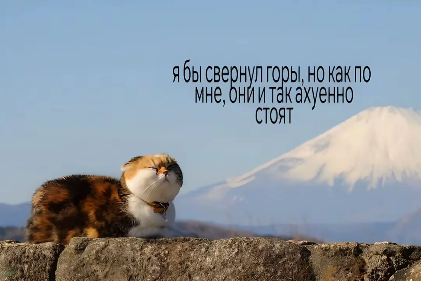ябы Как 110 МНЕ, ОНИИ так ахуенно СТОЯТ 7’ a