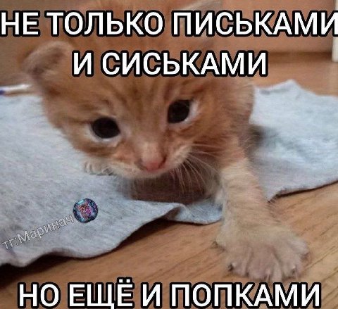 НЕ ТОЛЬКО ПИСЬКАМИ И СИСЬКАМИ НО ЕЩЁИ ПОПКАМИ