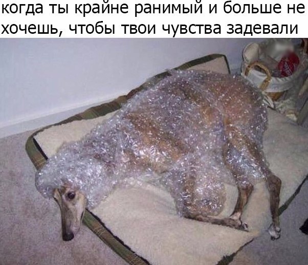 когда ты краине ранимый и больше не хочешь, чтобы твои чувства задевали
