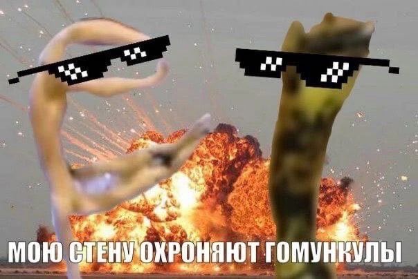 МОЮ