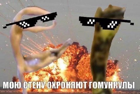 МОЮ