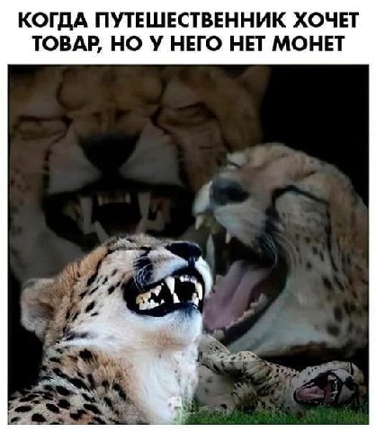КОГДА ПУТЕШЕСТВЕННИК ХОЧЕТ ТОВАР, НО У НЕГО НЕТ МОНЕТ