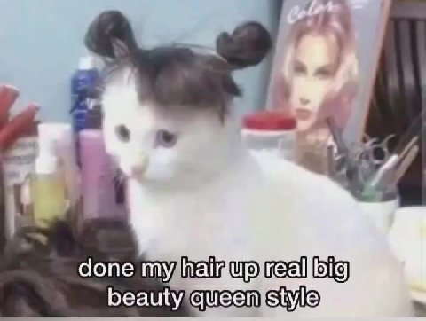 С >) feellitjin,thejair ‚1 done пупа жеа в! о beauty/queentstyle) “