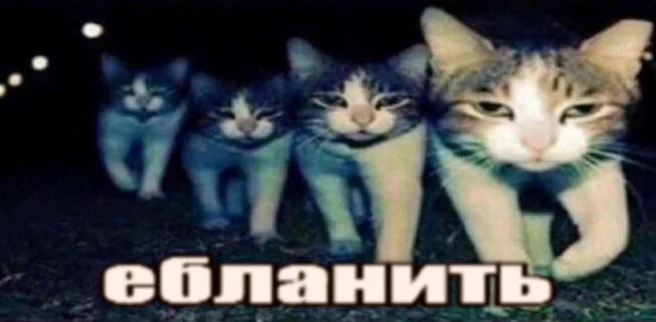 a ебланить“