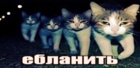 a ебланить“