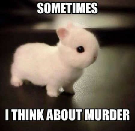 SOMETIMES THINK ABOUT MURDER