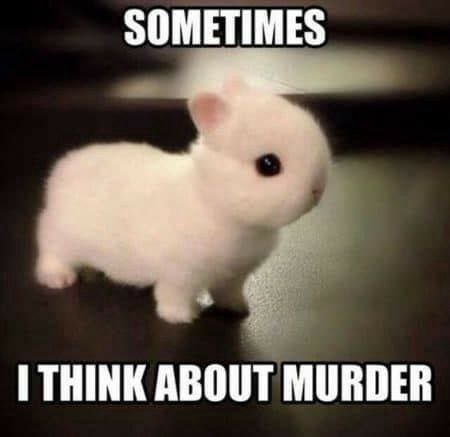 SOMETIMES THINK ABOUT MURDER