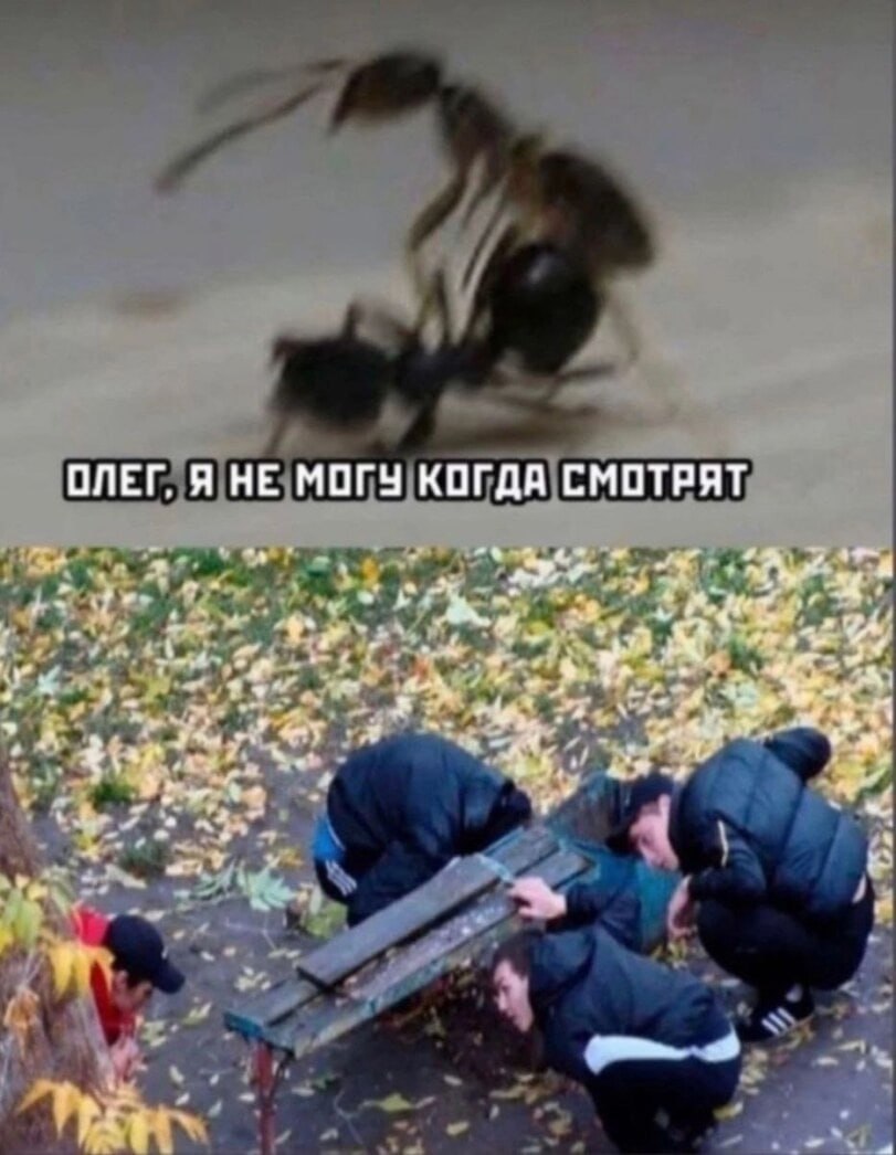 ОЛЕГ, Я НЕ МОГУ КОГДА СМОТРЯТ A 2 9 к a a